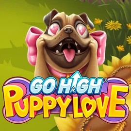 Play Go High Puppy Love slot by RubyPlay on lolospins.eu
